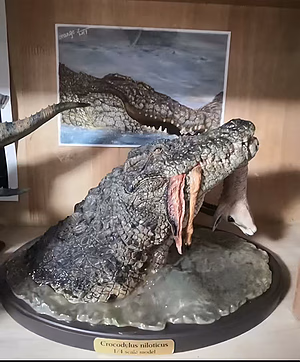 InfinityStudio x Lack Chamber MUSEUM Series Nile Crocodile Hunting Thomsons Gazelle